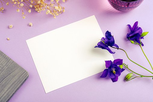 Blank card, notepad, glass of water and blue Aquilegia Alpina flowers on purple table. Top view, flat lay, mockup.
