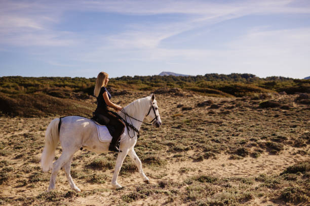 緑の砂丘の間と青い空の下で白い馬に乗っている若い金髪の女性 - real people blue white friendship ストックフォトと画像