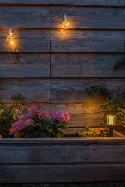 istock Solar lamps in garden 1488891197