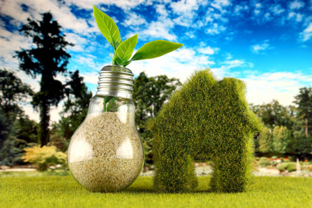 Plant growing inside the light bulb and green house icon with field and blue sky background. Eco renewable energy concept. Electricity prices, energy saving in the household. - fotografia de stock
