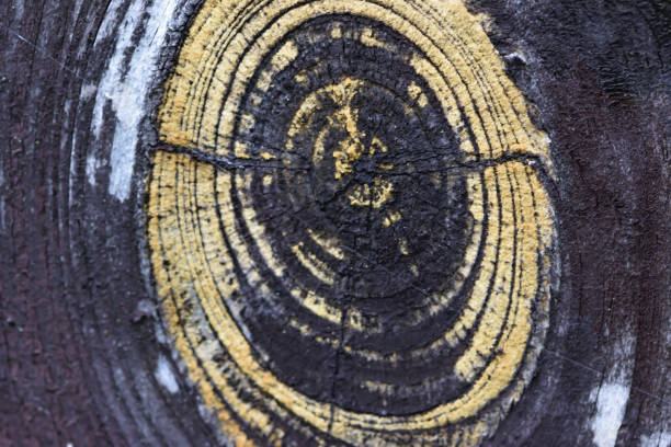 black painted plank wallpaper with yellow knot in macro close-up