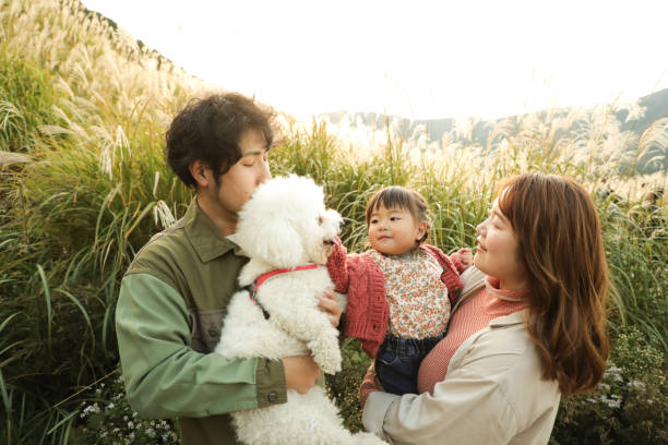 istock Happy Family Enjoying Picnic day 1488897380