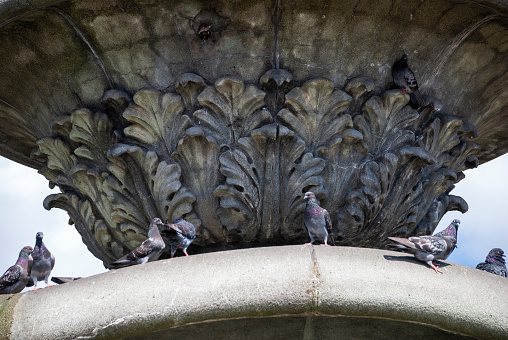 Fountain and floral details in concrete, art and elegant design in public space of central park