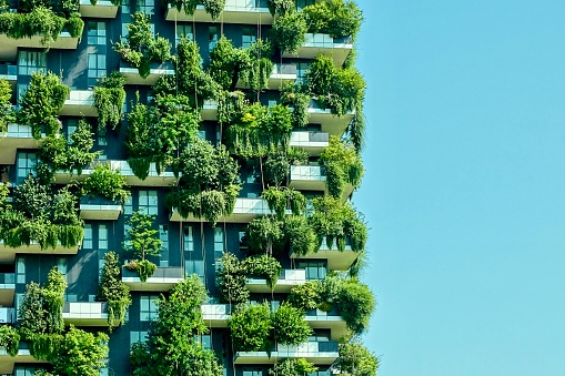 Modern building with trees on balconies