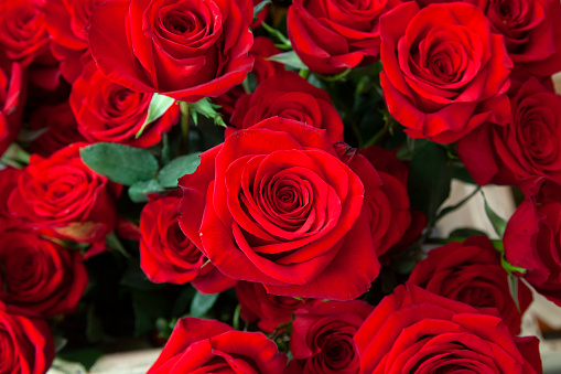 Bouquet red roses, Sant Jordi's day