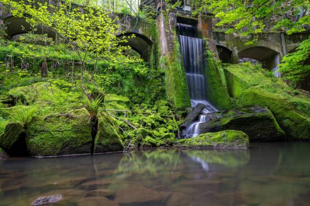 istock Picturesque waterfall cascading down a rocky cliff face surrounded by lush greenery 1488903718