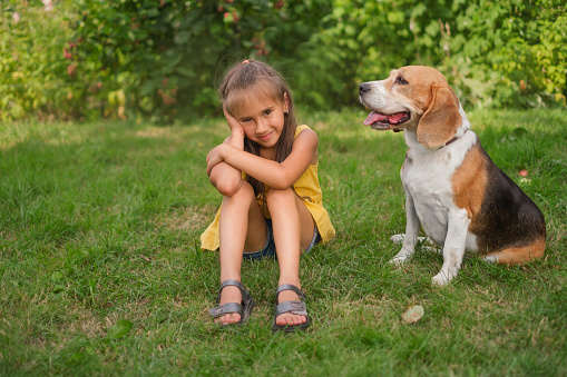 The girl is sitting next to the dog, resentfully looking away from the pet. The dog looks at his mistress and waits for the command