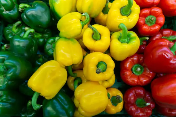 Pile of fresh yellow peppers among red and green peppers in a market.