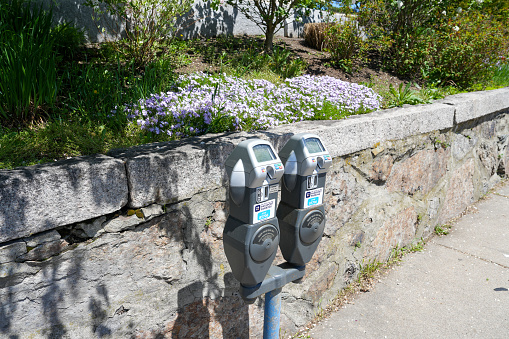 Parking meter nature street