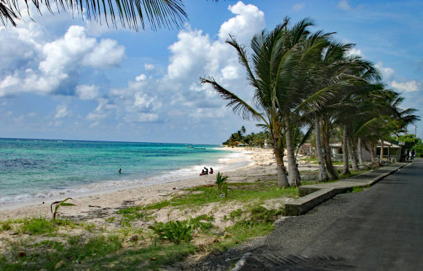 istock A Windy Day In The Paradise Island 1488908406