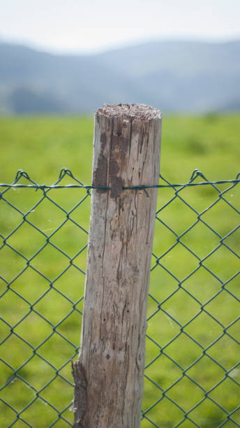 istock Wooden post in field fence 1488909117