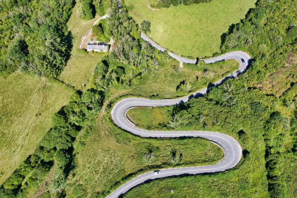 istock Scenic rural road winding its way through a lush forest on a sunny day 1488913087