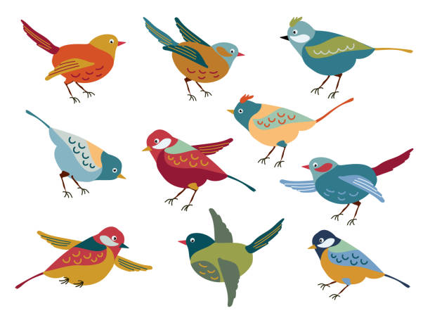 ilustrações de stock, clip art, desenhos animados e ícones de set of spring birds. vector. various birds - tit