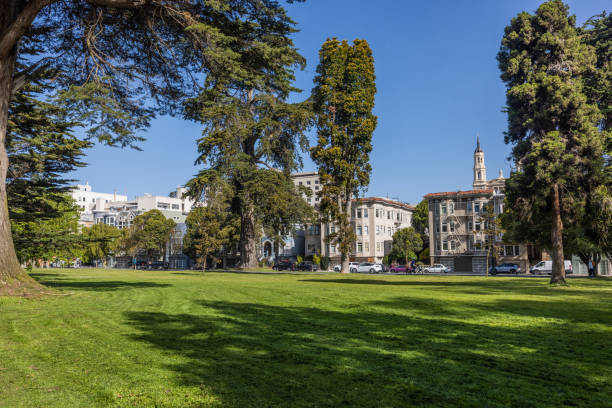 Searching the streets of San Francisco for unique angles of the city and its buildings.
