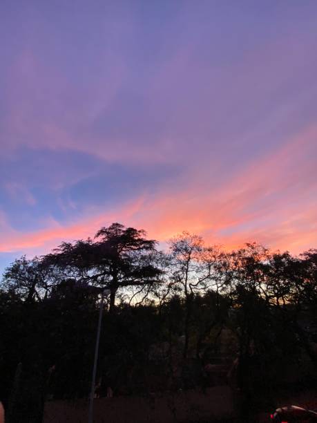 Fireside Sunset: Johannesburg's Autumnal Canvas