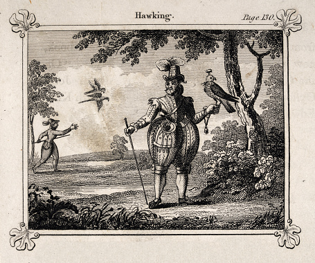 Vintage illustration of Man out hawking, falconry, falcon of hawk perched on his wrist, History of Sport, 17th Century