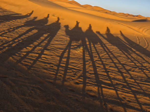 istock Saharan sunrise, Erg Chebbi, Morocco 1488924591