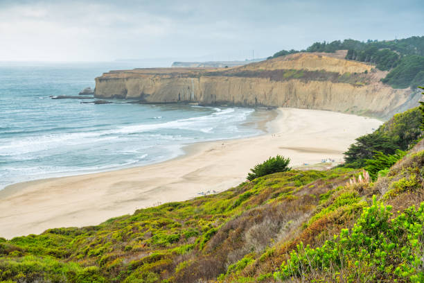 tunitas beach california usa pacific coast condado de san mateo - california coastline beach cliff fotografías e imágenes de stock