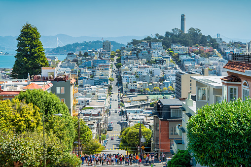 Telegraph Hill residential district with the Coit Tower as seen from Russian Hill in San Francisco, California, USA.