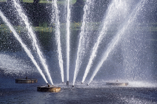 The fountain in a lake during the summer