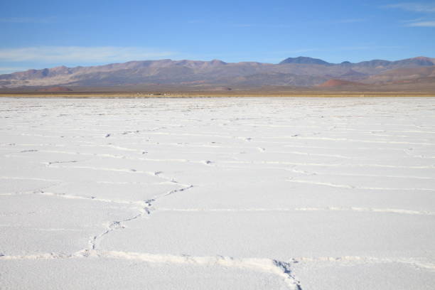 istock Salt flats in northwestern Argentina 1488929436