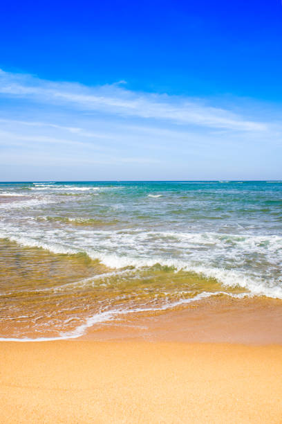 Beautiful landscape of the Indian Ocean coast stock photo