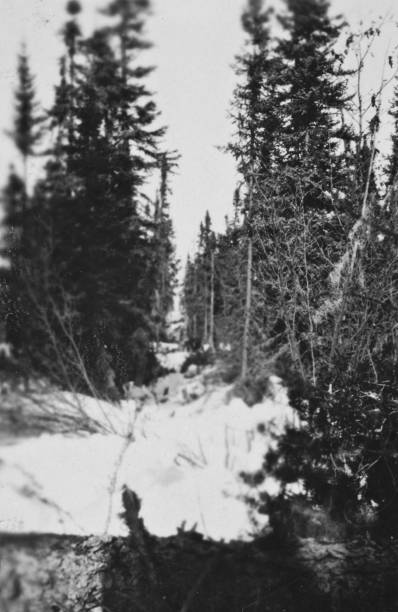 캐나다 매니토바 콜드 레이크의 눈 덮인 풍경 - 1928년 3월 - manitoba north lake canada 뉴스 사진 이미지