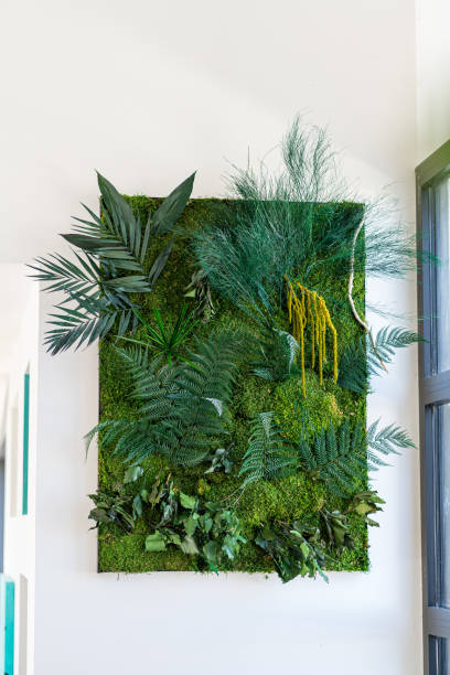 istock stabilized plant wall Jungle with flat moss and foliage 1488939562