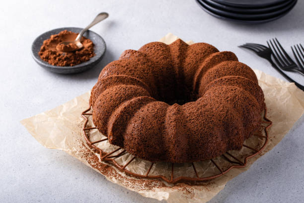 istock Chocolate bundt cake dusted with cocoa powder 1488946331
