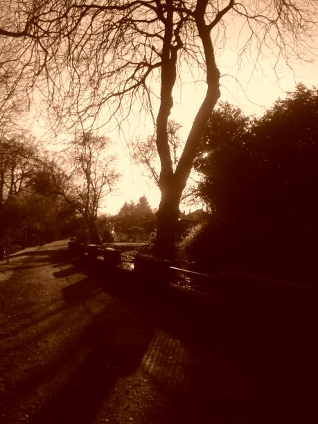 istock Sepia winter in a park 1488948431