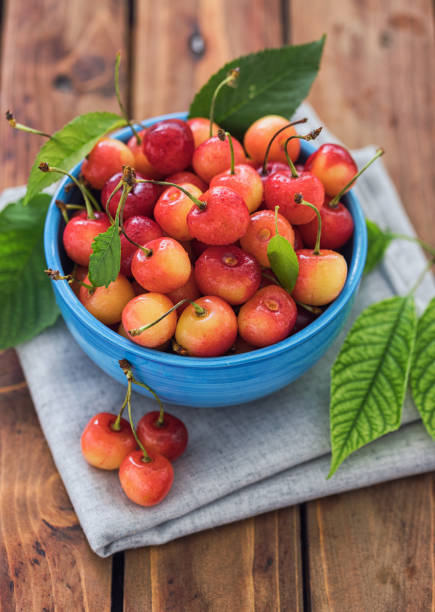 istock Fresh sweet cherries with water drops 1488948897
