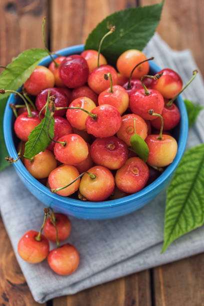 istock Fresh sweet cherries with water drops 1488948961