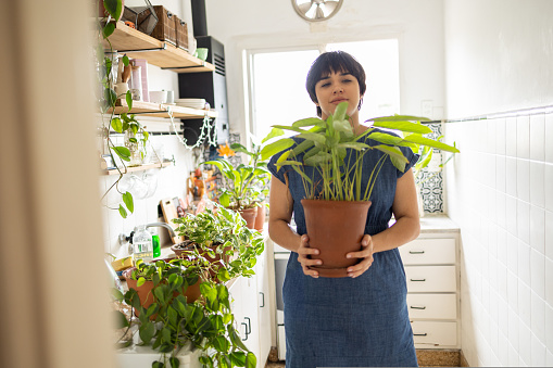 Vertical of Happy young latin woman with a short hair wearing a blue dress. She is taking care of her plants with a smile. High quality photo