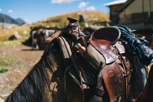 Leather horse saddle displayed on a stand against blue sky