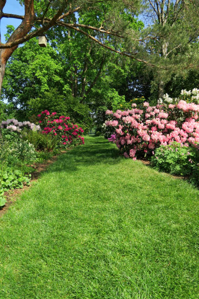 istock Park with colorful rhododendron and azalea-bushes 1488953702