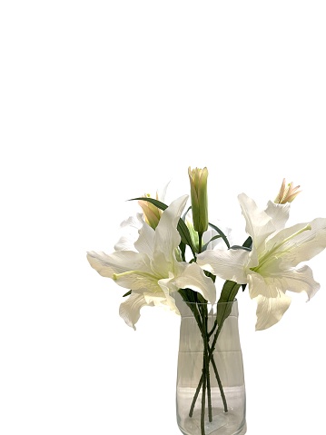 Fresh bouquet of blooming lily of valley flowers in transparent glass vase on natural blurry background. Beautiful soft atmospheric landscape in pastel light colors