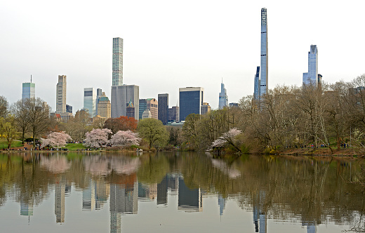 Landscape with Turtle Pond in Central Park and tallest skyscrapers in Manhattan in spring. New York City