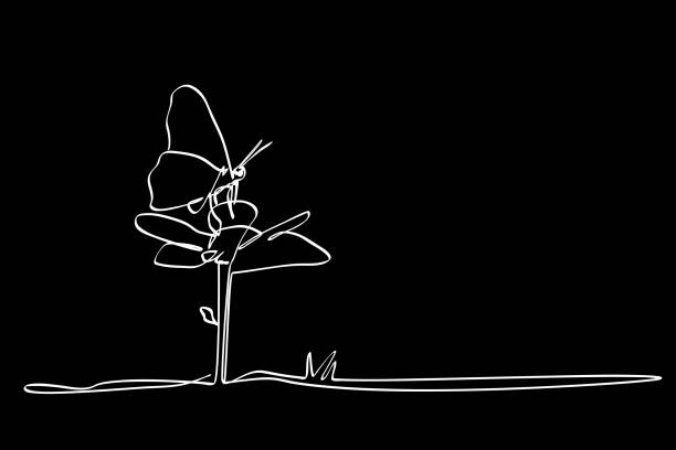 ilustraciones, imágenes clip art, dibujos animados e iconos de stock de vector simple mariposa simple o una mariposa continua en flor - butterfly flower single flower grass