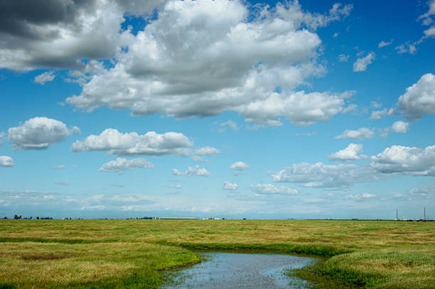 vista primaveril da califórnia san joaquin valley - san joaquin valley - fotografias e filmes do acervo