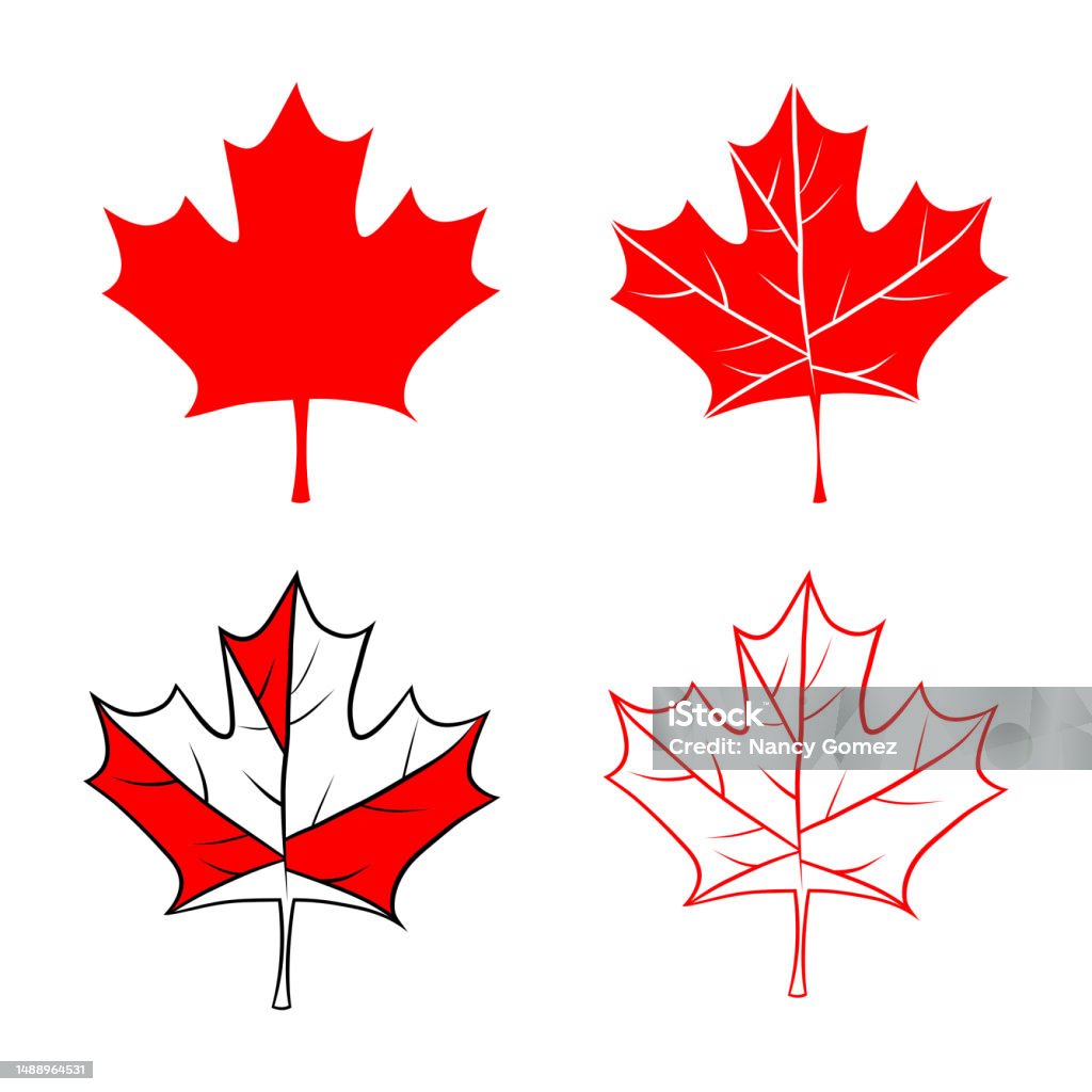 Maple Leaves Vector Set Canadian Leaf Stock Illustration - Download