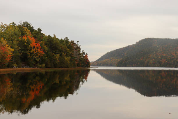 istock Acadia National Park 1488987639