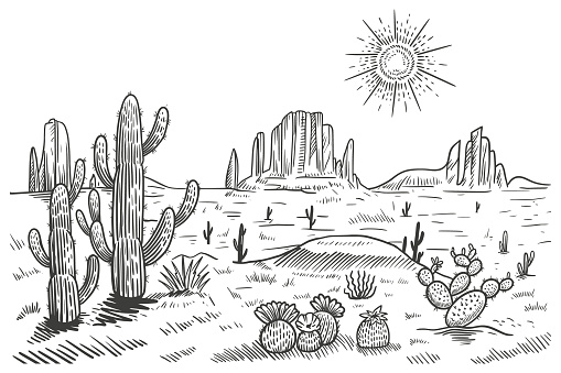 Desert panorama landscape, vector illustration. Hand drawn black and white desert with cactuses and rocks. Arizona line sketch.