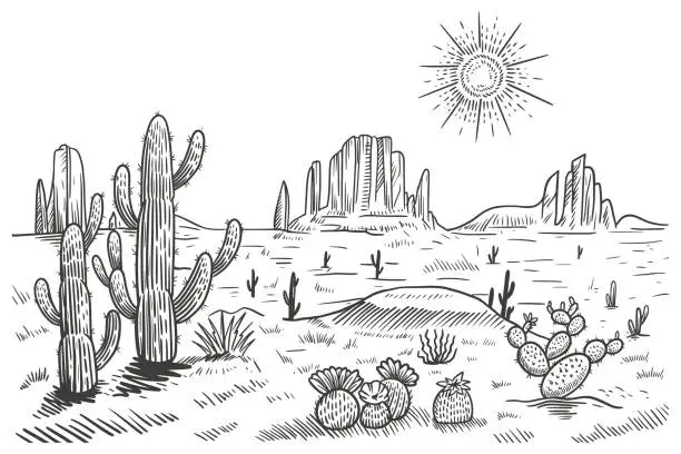Vector illustration of Desert panorama landscape, vector illustration. Hand drawn black and white desert with cactuses and rocks.