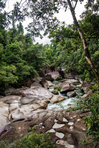 istock Canyon at Babinda Boulders 1489017427