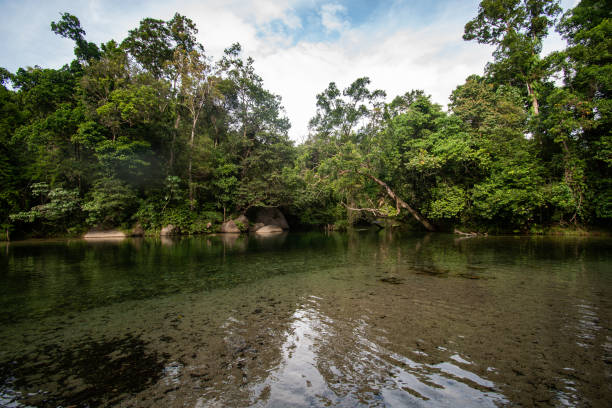 istock Peaceful lake at Babinda Boulders 1489017621