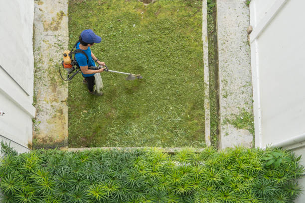 Top view of a lawn mower machine on green grass background. Equipment and tools for daily garden maintenance and care tasks and chores. Copy space.