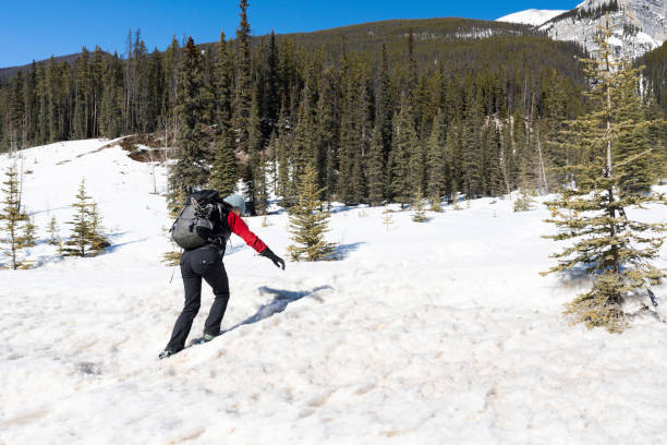 istock Hiking in deep snow, Jasper National Park 1489030179