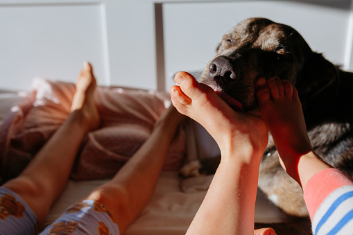 dog licking barefoot of the children lying in the bed in morning light