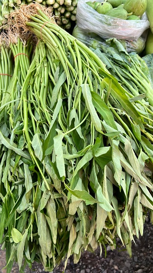 Raw fresh water spinach sells in the market
