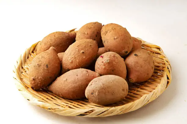 Harvested Japanese sweet potato "Anno imo"